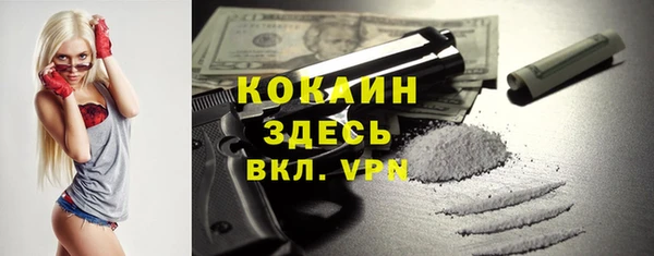 бошки Осинники