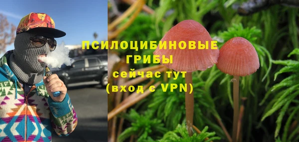 mdma Нязепетровск
