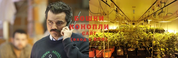 кристаллы Нягань