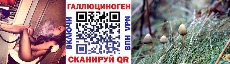 Галлюциногенные грибы GOLDEN TEACHER  Купить закладки  Калининец 